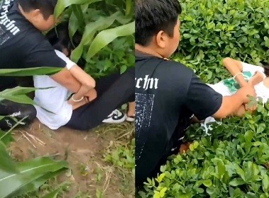 Hiếp dâm bạn học trên cánh đồng hấp dẫn